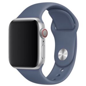 NWT Genuine Apple OEM Alaskan Blue Sport Band Watch Band Stainless Steel Pin 44